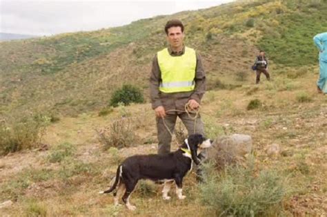 mi perruca sagra|Hermanos Cosio en Ajo. Mi perruca Sagra